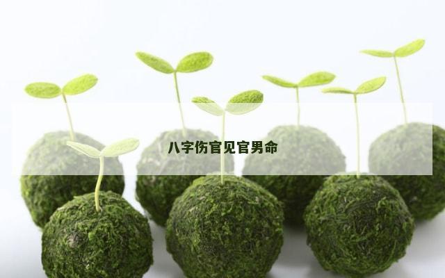 八字伤官见官男命