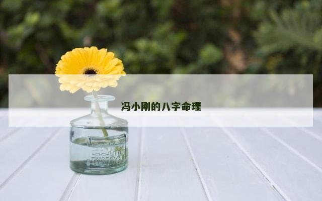 冯小刚的八字命理