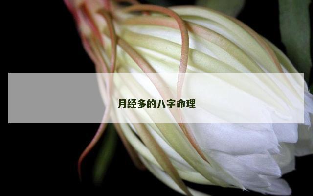 月经多的八字命理