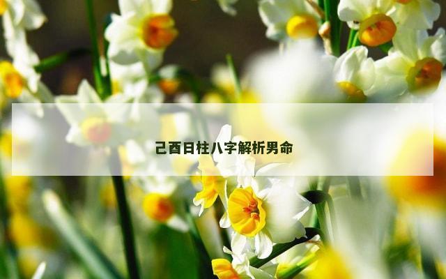 己酉日柱八字解析男命