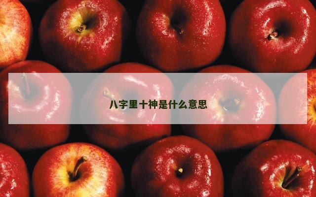 八字里十神是什么意思
