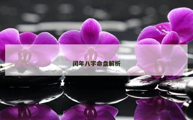 闰年八字命盘解析