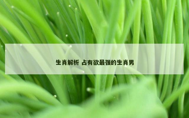 生肖解析 占有欲最强的生肖男