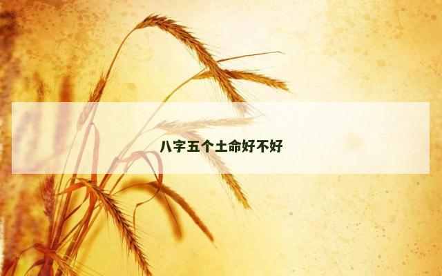 八字五个土命好不好