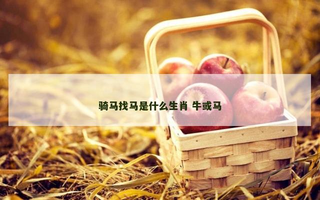 骑马找马是什么生肖 牛或马