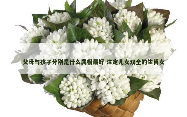 父母与孩子分别是什么属相最好 注定儿女双全的生肖女
