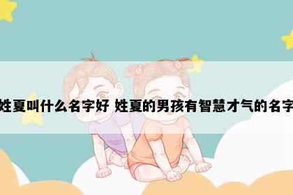 姓夏叫什么名字好 姓夏的男孩有智慧才气的名字