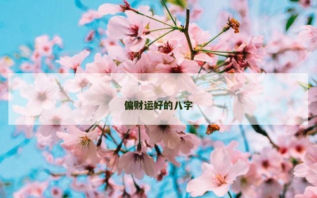 偏财运好的八字