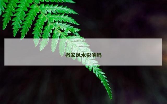 搬家风水影响吗