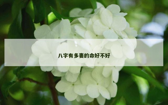 八字有多妻的命好不好