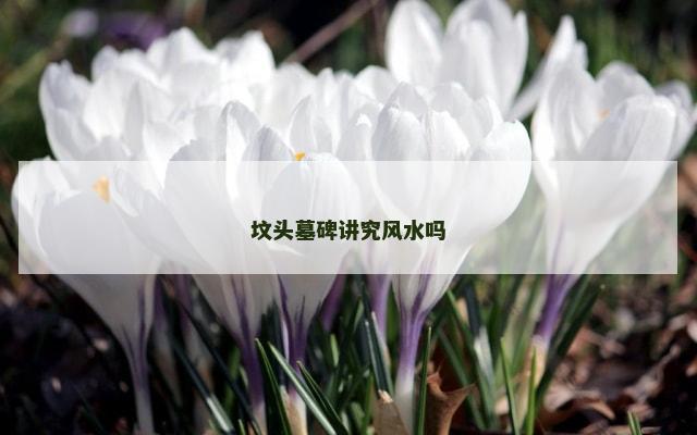 坟头墓碑讲究风水吗