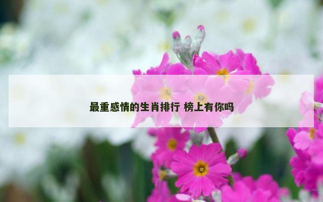 最重感情的生肖排行 榜上有你吗