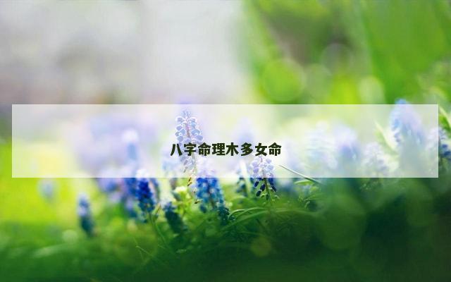 八字命理木多女命