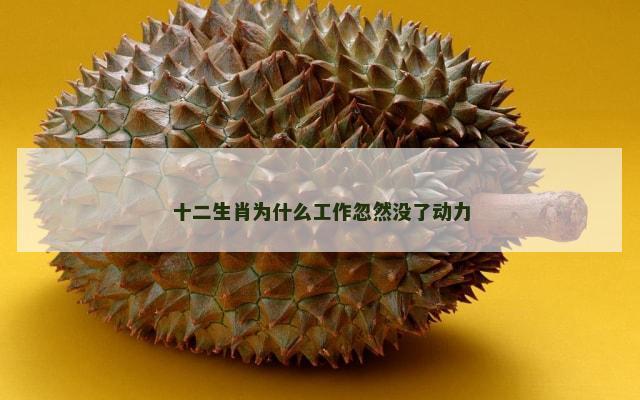 十二生肖为什么工作忽然没了动力