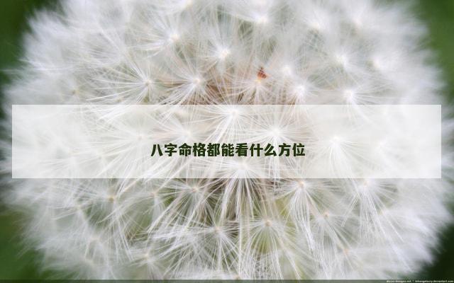 八字命格都能看什么方位