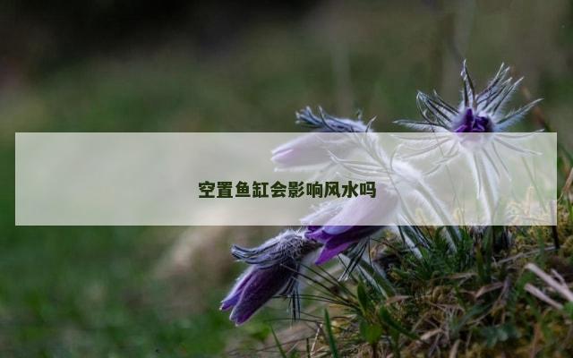 空置鱼缸会影响风水吗