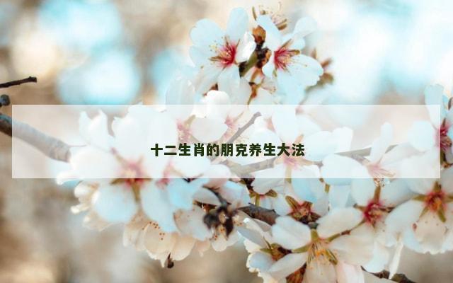 十二生肖的朋克养生大法