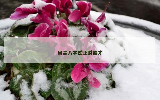 男命八字透正财偏才