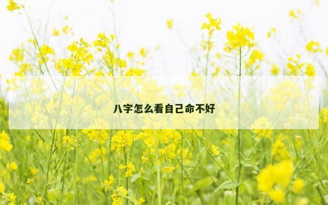 八字怎么看自己命不好