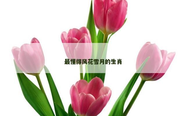 最懂得风花雪月的生肖
