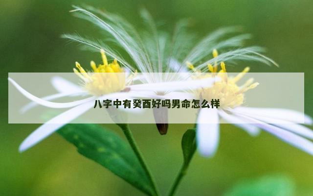 八字中有癸酉好吗男命怎么样