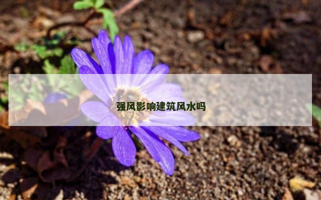 强风影响建筑风水吗