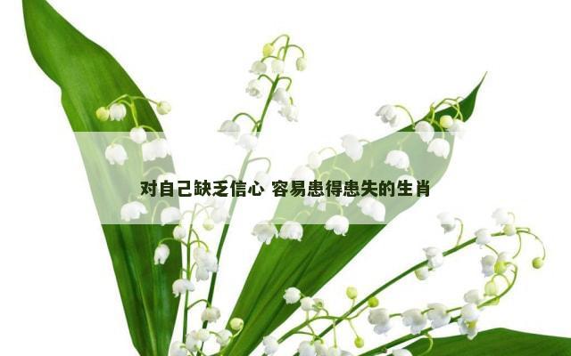 对自己缺乏信心 容易患得患失的生肖