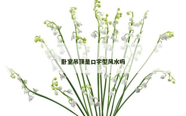 卧室吊顶是口字型风水吗