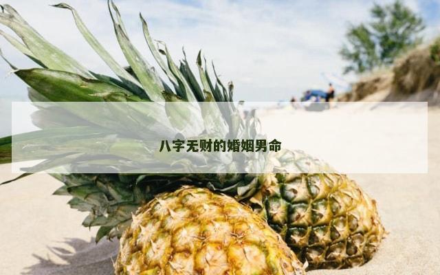 八字无财的婚姻男命