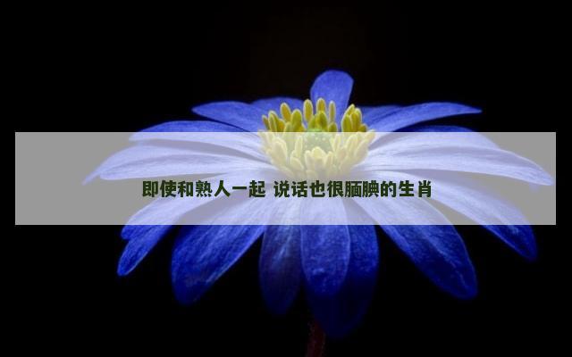 即使和熟人一起 说话也很腼腆的生肖