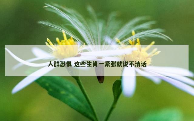 人群恐惧 这些生肖一紧张就说不清话