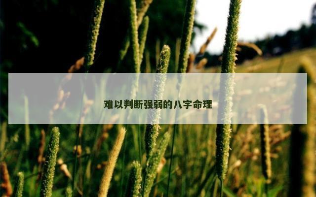 难以判断强弱的八字命理