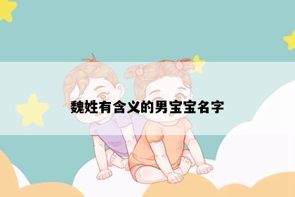 魏姓有含义的男宝宝名字
