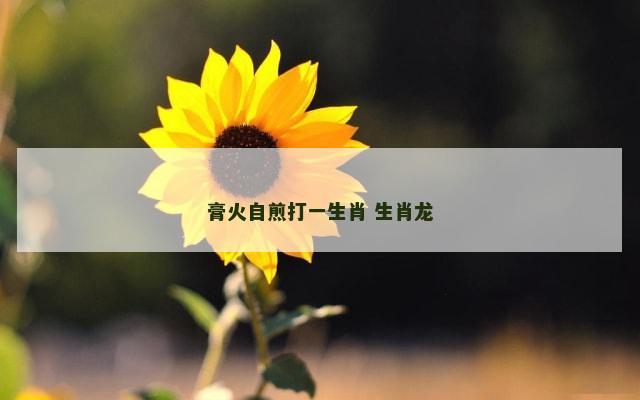 膏火自煎打一生肖 生肖龙