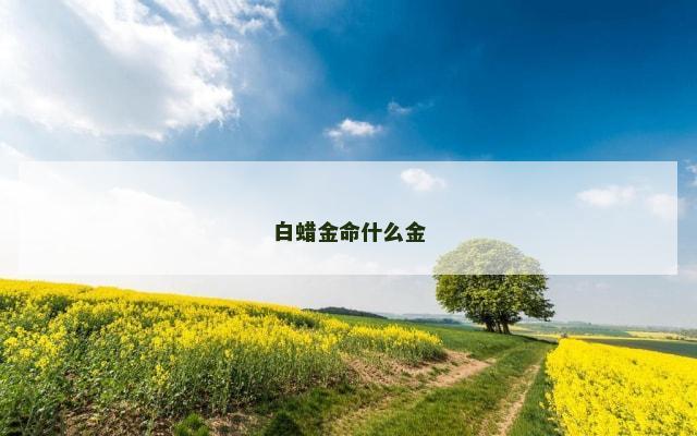 白蜡金命什么金
