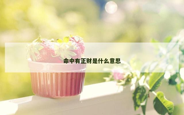 命中有正财是什么意思