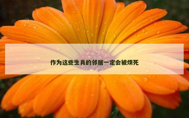 作为这些生肖的邻居一定会被烦死
