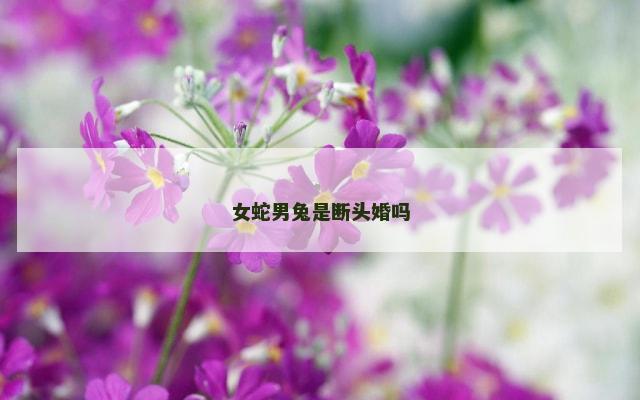 女蛇男兔是断头婚吗