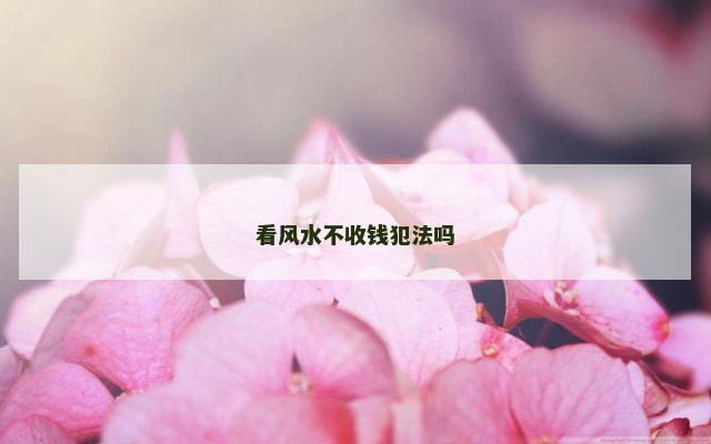 看风水不收钱犯法吗