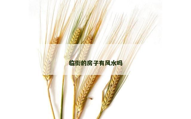 临街的房子有风水吗