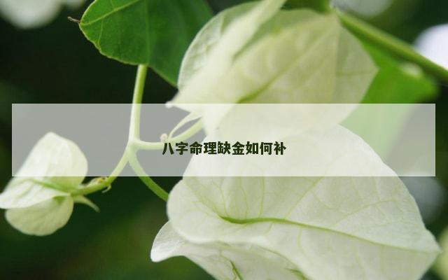 八字命理缺金如何补