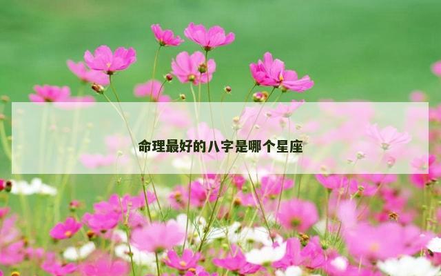 命理最好的八字是哪个星座