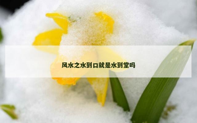 风水之水到口就是水到堂吗