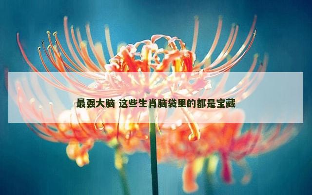 最强大脑 这些生肖脑袋里的都是宝藏