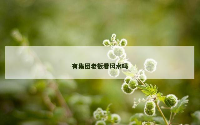 有集团老板看风水吗