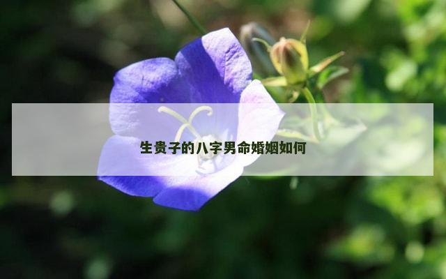 生贵子的八字男命婚姻如何