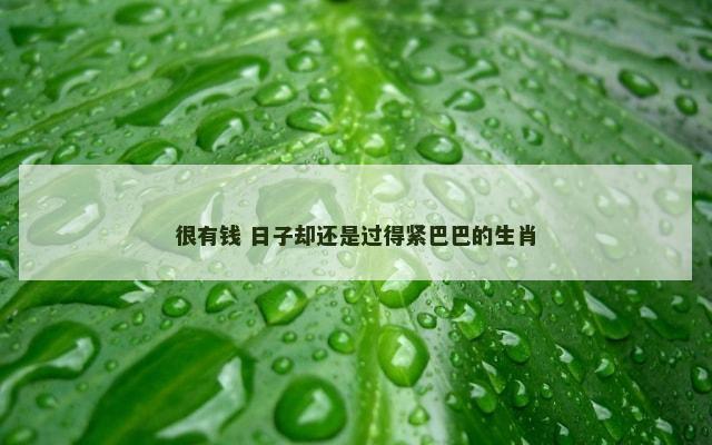 很有钱 日子却还是过得紧巴巴的生肖