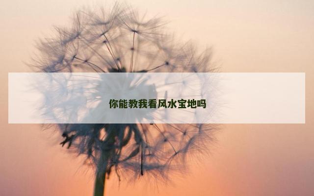 你能教我看风水宝地吗