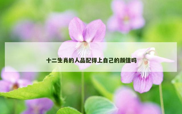 十二生肖的人品配得上自己的颜值吗