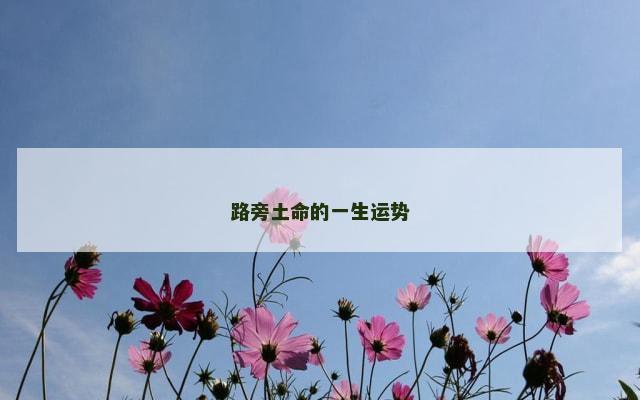 路旁土命的一生运势